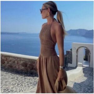 Zara Brown Maxi Dress